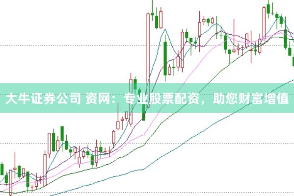 大牛证券公司 资网：专业股票配资，助您财富增值