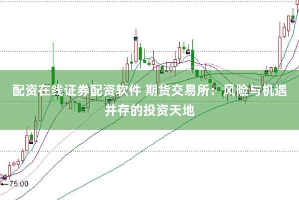 配资在线证券配资软件 期货交易所：风险与机遇并存的投资天地