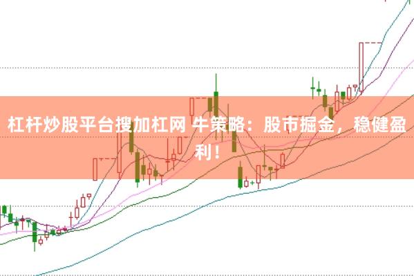 杠杆炒股平台搜加杠网 牛策略：股市掘金，稳健盈利！