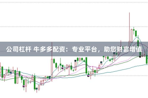 公司杠杆 牛多多配资：专业平台，助您财富增值