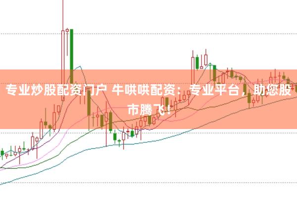 专业炒股配资门户 牛哄哄配资：专业平台，助您股市腾飞！