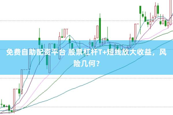 免费自助配资平台 股票杠杆T+短线放大收益，风险几何？