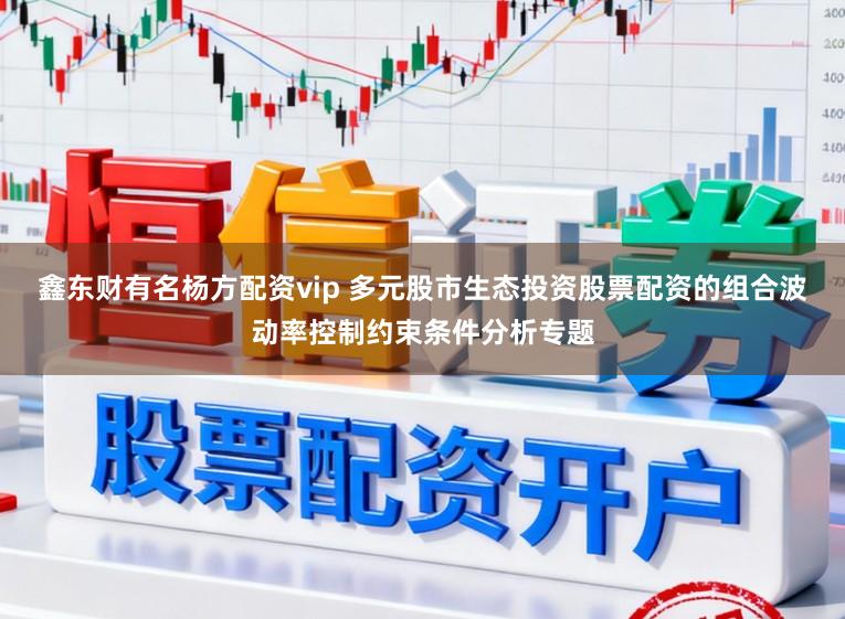 鑫东财有名杨方配资vip 多元股市生态投资股票配资的组合波动率控制约束条件分析专题