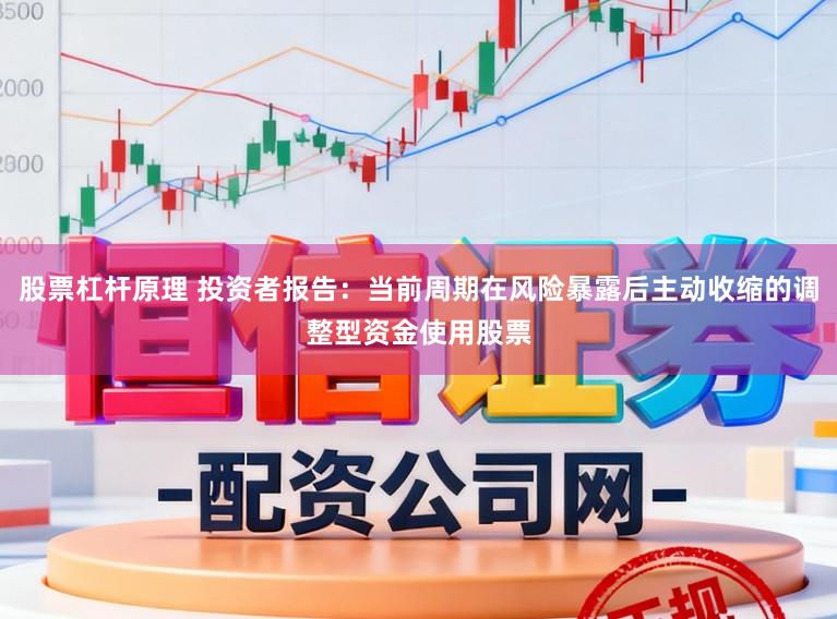 股票杠杆原理 投资者报告：当前周期在风险暴露后主动收缩的调整型资金使用股票